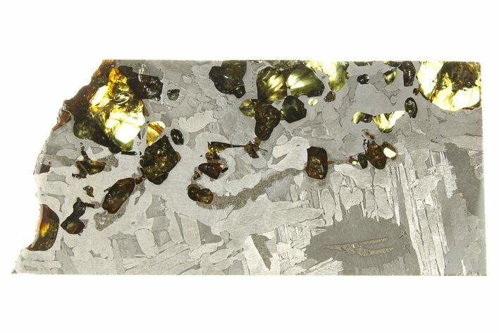 Seymchan Pallasite Meteorite Slice ( g) - Russia #264930